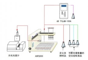 ASP2000����̎������վ